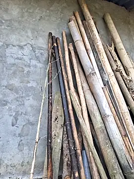 diamond-- online show from 17, 4, 2026