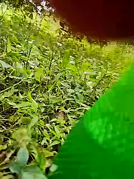 telugumodda4396 online show from 24, 10, 2025