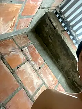 Dani-202p online show from 23, 9, 2025