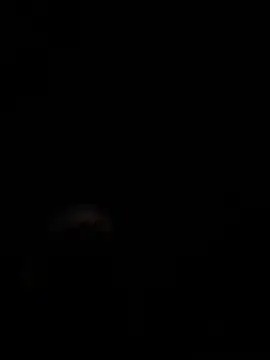 kazuma0708 jp online show from 12, 3, 2026