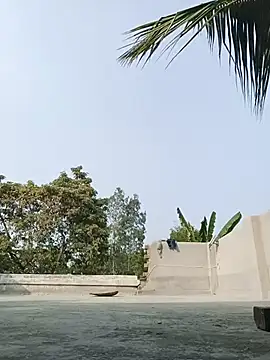 reya743 online show from 3, 2, 2026