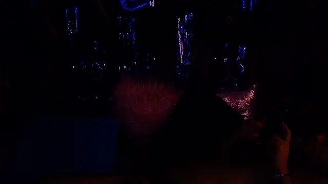 big bearr online show from 5, 10, 2025