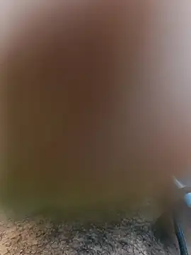 Snapshot of Mohamed234897 chatting on 23, 11, 2025 Mohamed234897 online show from 23, 11, 2025