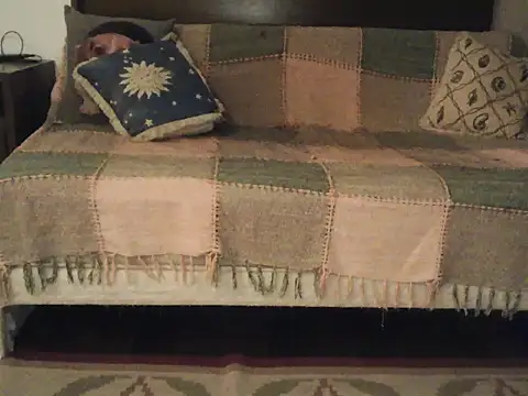 domruanbr online show from 21, 10, 2025