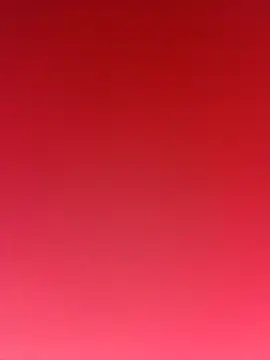 MacroP24 online show from 6, 1, 2026