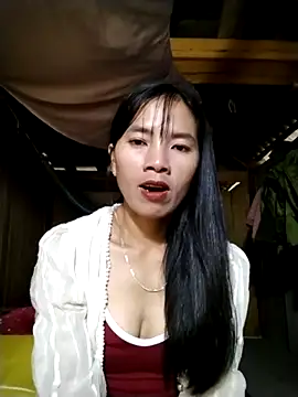 lmc-zz online show from 1, 11, 2025