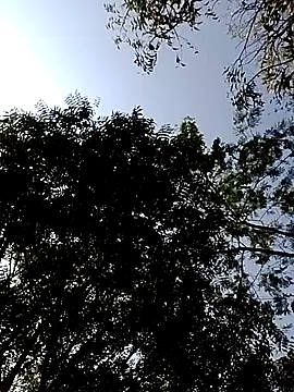 Rs sonam online show from 14, 2, 2026