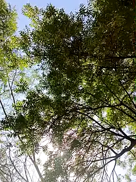 Rs sonam online show from 13, 4, 2026