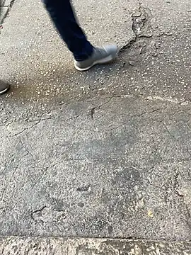 niyakskhonat25 online show from 5, 10, 2025