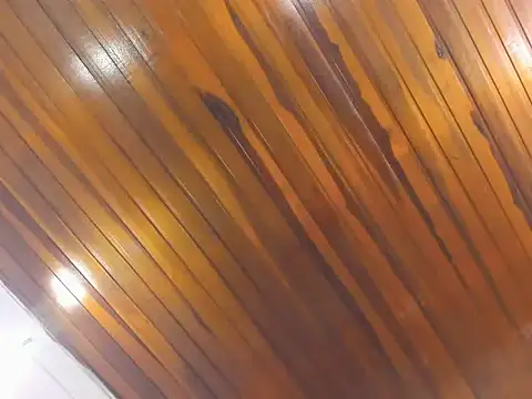 Snapshot of AliceCat_01 chatting on 14, 11, 2025 AliceCat 01 online show from 14, 11, 2025