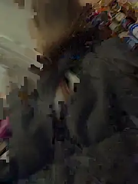 silentasachurchmouse online show from 3, 12, 2025