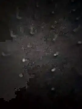 Snapshot of PEEHU-50 chatting on 13, 1, 2026 PEEHU-50 online show from 13, 1, 2026