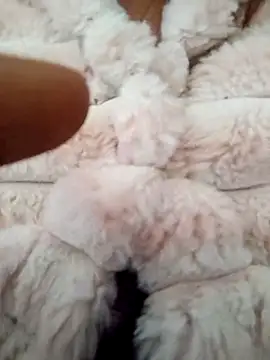 Snapshot of PEEHU-50 chatting on 17, 1, 2026 PEEHU-50 online show from 17, 1, 2026