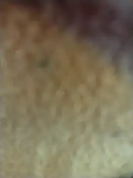 Snapshot of PEEHU-50 chatting on 2, 2, 2026 PEEHU-50 online show from 2, 2, 2026