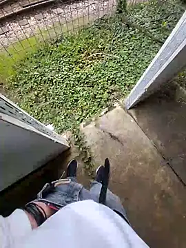 rezzzze online show from 3, 4, 2026