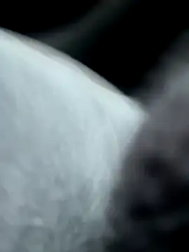 pleasedontpressaredburton online show from 14, 10, 2025