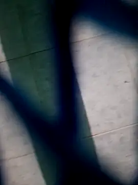 Neilhot98 online show from 16, 11, 2025