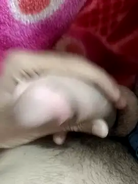 pn12345 online show from 9, 11, 2025