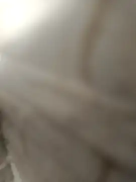 pn12345 online show from 4, 12, 2025