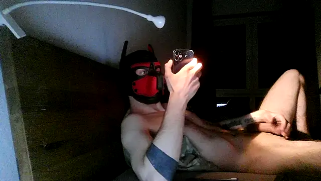 Snapshot of MolleDolle chatting on 2, 12, 2025 MolleDolle online show from 2, 12, 2025