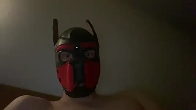 Snapshot of MolleDolle chatting on 16, 12, 2025 MolleDolle online show from 16, 12, 2025