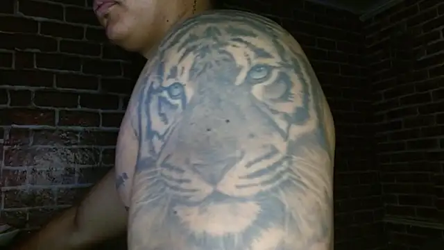 jordan bigcock  online show from 14, 3, 2026