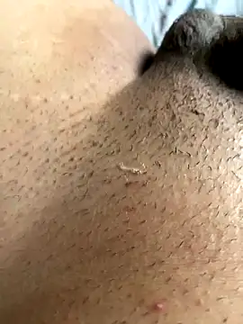 leiteiro2002 online show from 5, 11, 2025