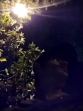 Snapshot of perrongo21 chatting on 29, 10, 2025 perrongo21 online show from 29, 10, 2025