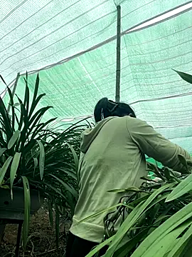 miemie-xx online show from 8, 1, 2026