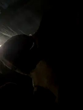 hello-cute online show from 20, 12, 2025