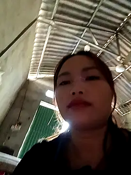 Rabbit-small online show from 20, 10, 2025