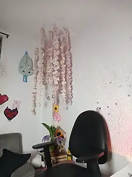 Emilycollei online show from 2, 6, 2026