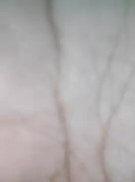 Anchal-8798 online show from 13, 11, 2025