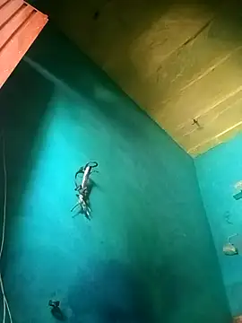 Rt shreya online show from 21, 11, 2025