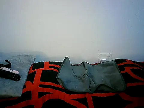 Ntokozo290 online show from 11, 11, 2025