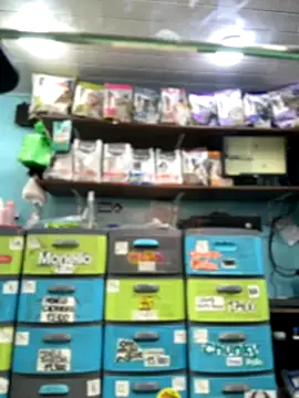 Lucy 699 online show from 16, 11, 2025