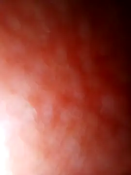 Snapshot of jhbswto chatting on 30, 10, 2025 jhbswto online show from 30, 10, 2025