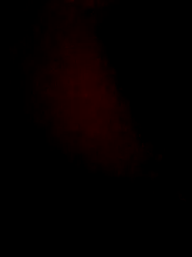 Snapshot of lorina202 chatting on 18, 11, 2025 lorina202 online show from 18, 11, 2025