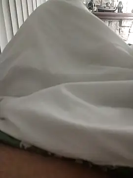 shyguy8569 online show from 11, 11, 2025