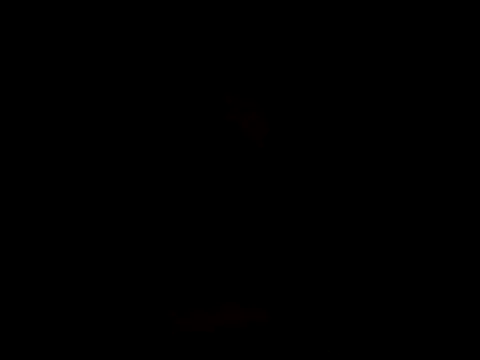 YoussefAl-Fahl online show from 15, 10, 2025