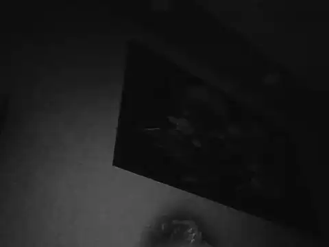 cute erkek34 online show from 19, 1, 2026