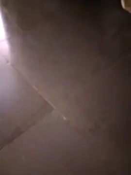 svk 05 online show from 14, 10, 2025