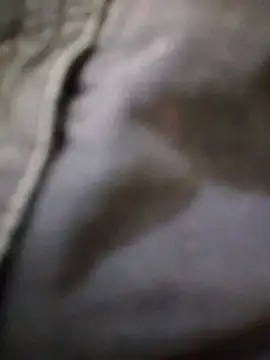 svk 05 online show from 20, 11, 2025