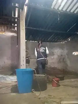 Myzak- online show from 6, 2, 2026