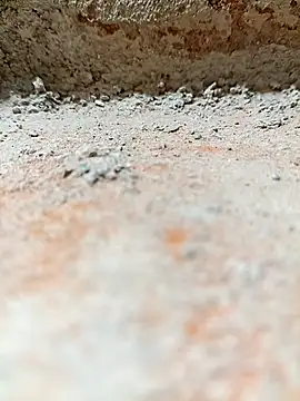 Rajni chauhan online show from 2, 11, 2025