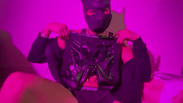 Snapshot of the_masked_pup chatting on 15, 10, 2025 the masked pup online show from 15, 10, 2025