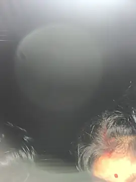 Ragni bhargav online show from 19, 1, 2026