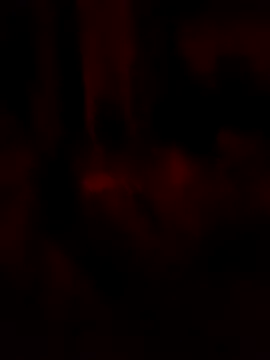 Snapshot of goloso80 chatting on 22, 5, 2026 goloso80 online show from 22, 5, 2026