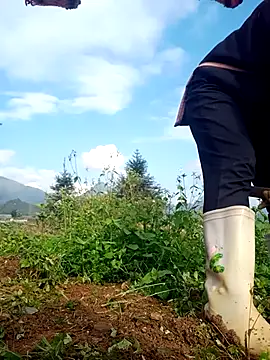 nui-show online show from 16, 11, 2025