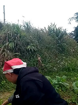 nui-show online show from 22, 11, 2025